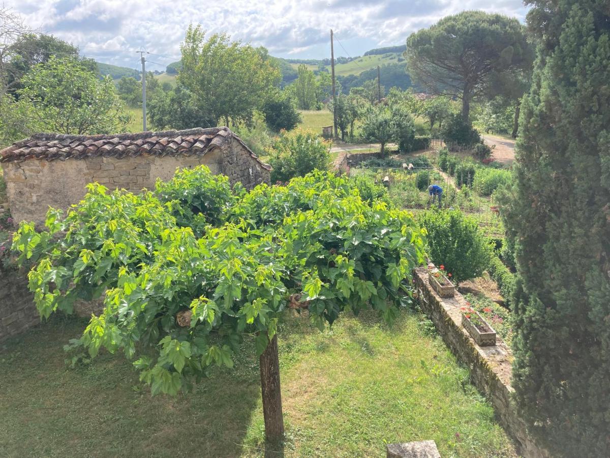 La Ferme Du Paradis Verfeil-sur-Seye Zewnętrze zdjęcie