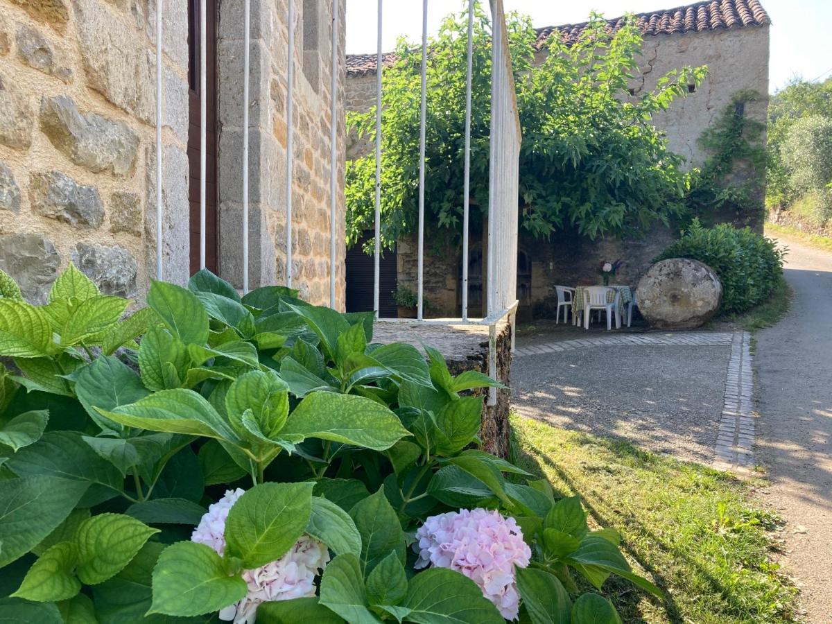 La Ferme Du Paradis Verfeil-sur-Seye Zewnętrze zdjęcie